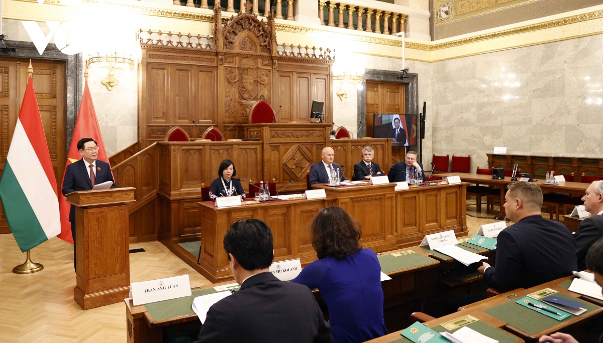 Vietnam, Hungary share legislation experience in climate change response